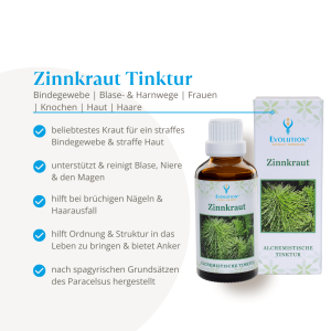 Evolution Zinnkraut Tinktur 50ml