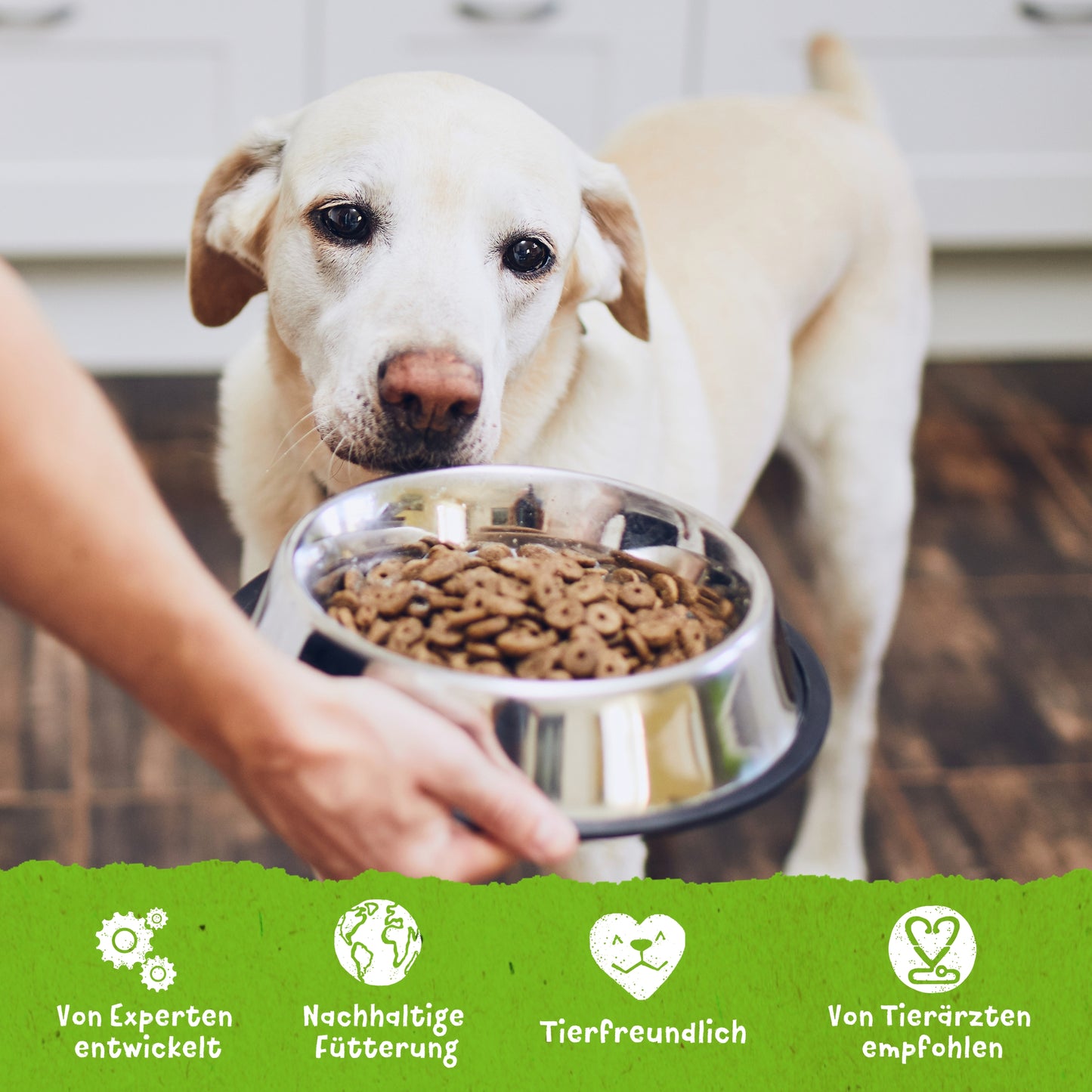 Benevo Dog Dry Food ORIGINAL 15kg
