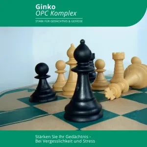 Evolution Ginkgo OPC Kapseln 90 Stück