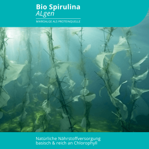Evolution BIO Spirulina Tabletten 350 Stk