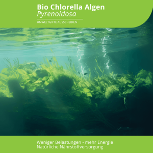 Evolution Bio Chlorella Pyrenoidosa Tabletten 350 Stück