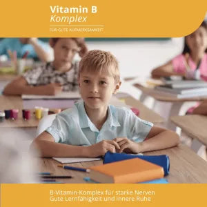 Evolution Vitamin B Komplex Kapseln 90 Stück