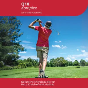 Evolution Q 10 Komplex  90 Kapseln