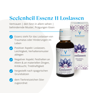Evolution Seelenheil Essenz 11 Loslassen 30ml