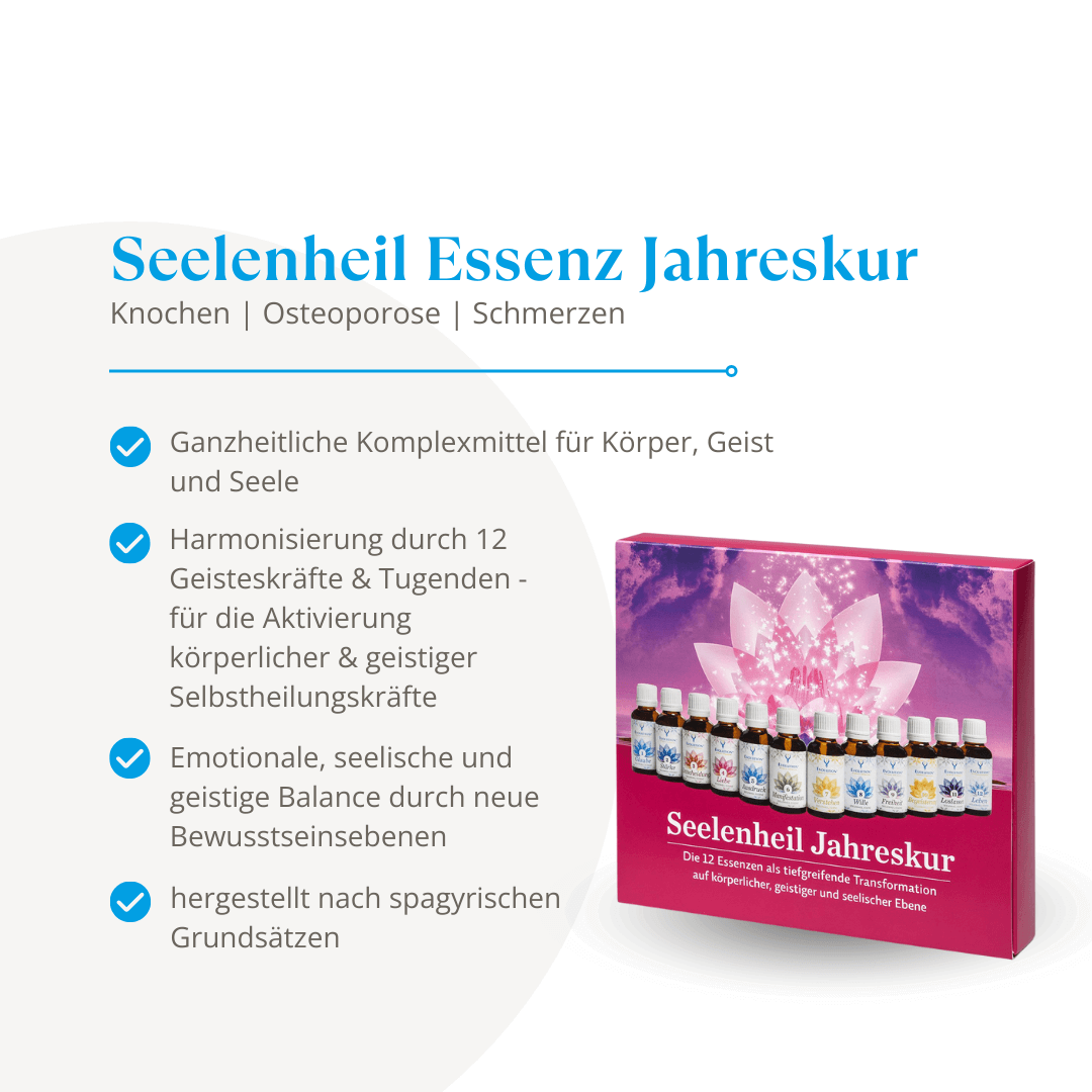 Evolution Seelenheil Essenz 1 - 12 Jahreskur