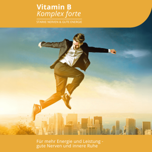 Evolution Vitamin B Komplex forte Kapseln 90 Stück