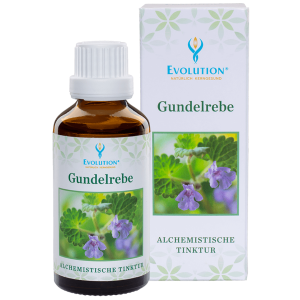 Evolution Gundelrebe Tinktur 50ml