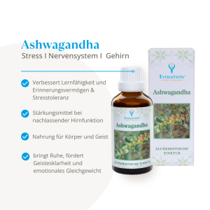 Evolution Ashwagandha Tinktur 50ml