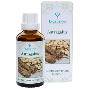 Evolution Astralagus Tinktur 50ml