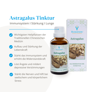 Evolution Astralagus Tinktur 50ml
