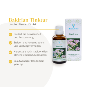 Evolution Baldrian Tinktur 50ml