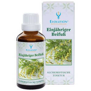 Evolution Mugwort Tincture 50ml