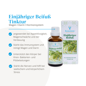 Evolution Beifuß Tinktur 50ml