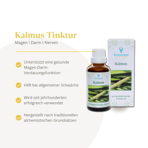 Evolution Kalmus Tinktur 50ml
