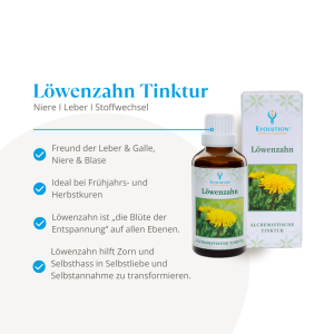 Evolution Löwenzahn Tinktur 50ml
