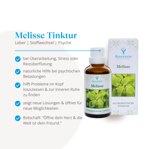 Evolution Melisse Tinktur 50ml