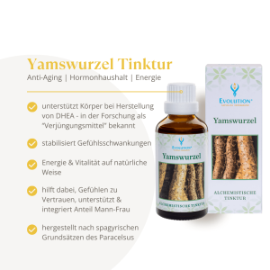 Evolution Yamswurzel Tinktur 50ml