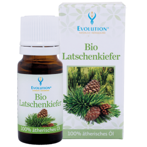 Evolution Bio Latschenkiefer ätherisches Öl 10ml