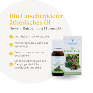 Evolution Bio Latschenkiefer ätherisches Öl 10ml