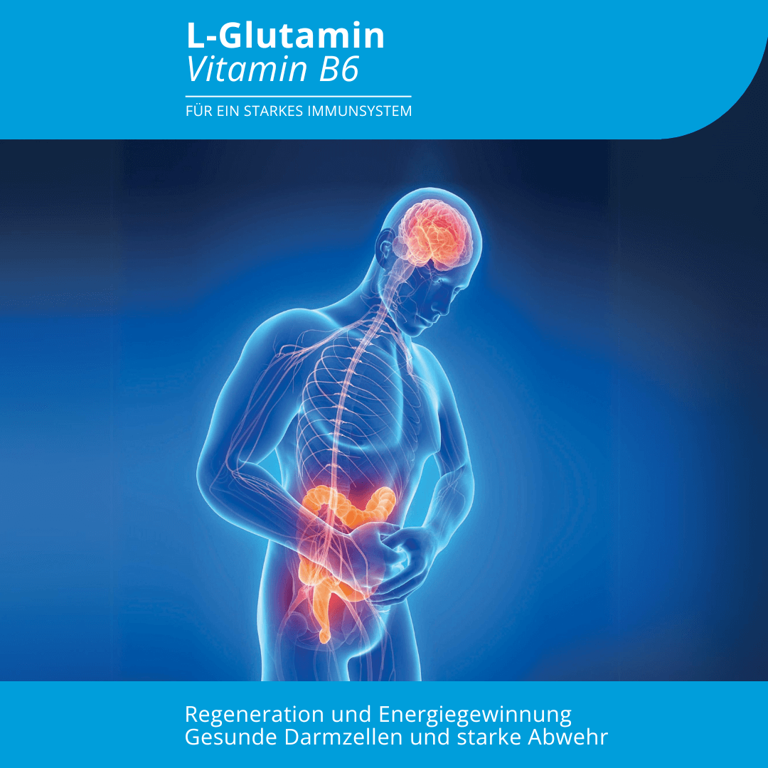 Evolution L-Glutamin Vitamin B6 300g