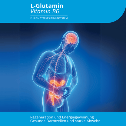 Evolution L-Glutamin Vitamin B6 300g