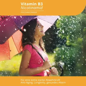 Evolution Vitamin B3 Kapseln 60 Stück