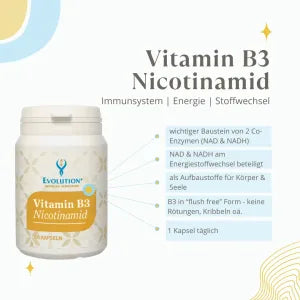 Evolution Vitamin B3 Kapseln 60 Stück