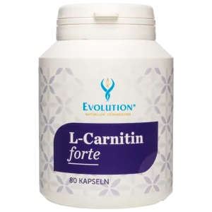 Evolution L-Carnitin forte Kapseln 80 Stück