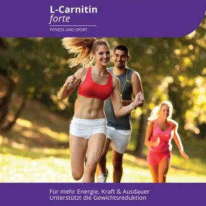 Evolution L-Carnitin forte Kapseln 80 Stück