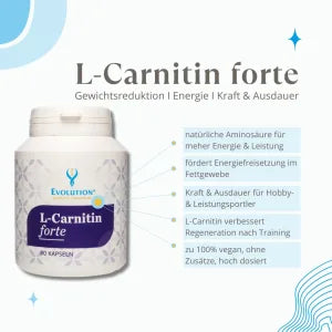 Evolution L-Carnitin forte Kapseln 80 Stück