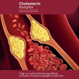 Evolution Cholesterin Komplex 60 Kapseln