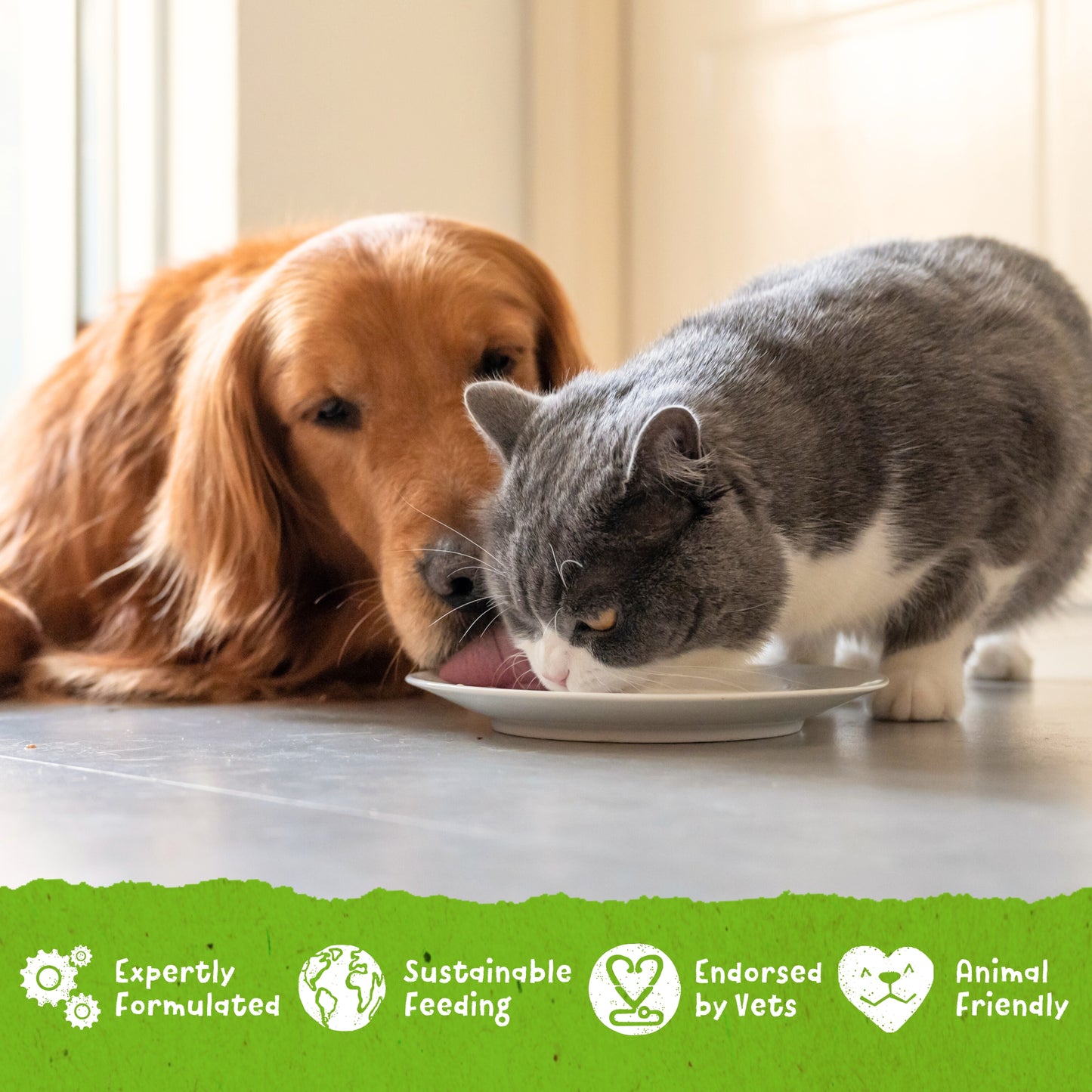 Benevo Duo Canned Food for Dogs & Cats