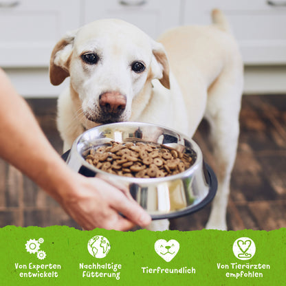 Benevo Dog Dry Dog Food ORIGINAL