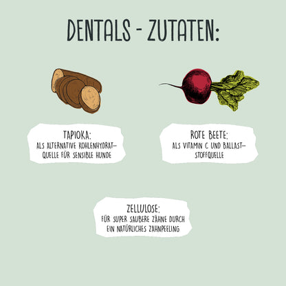 VEGDOG Dentals Tapioka & Rote Beete 120g