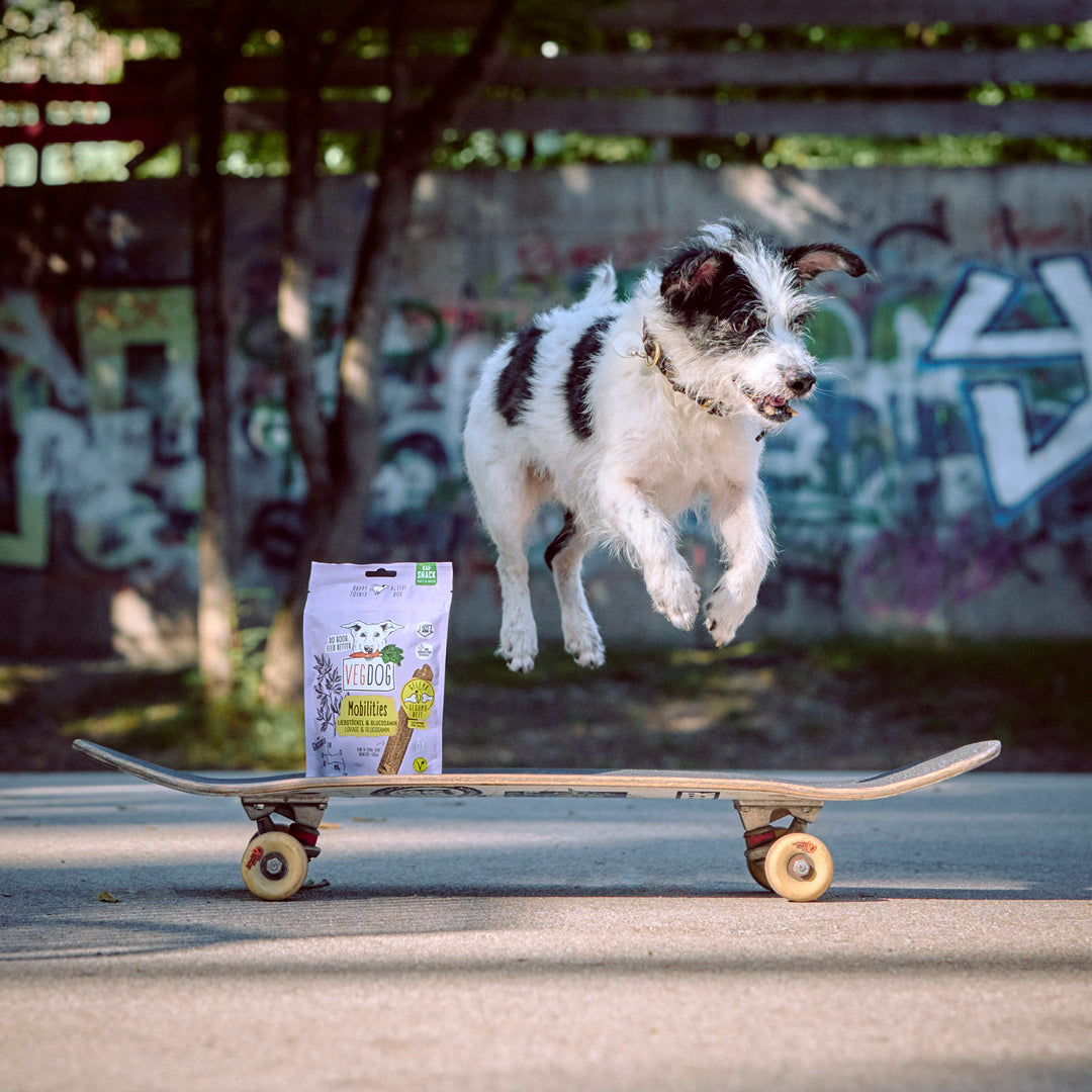 VEGDOG Mobilities