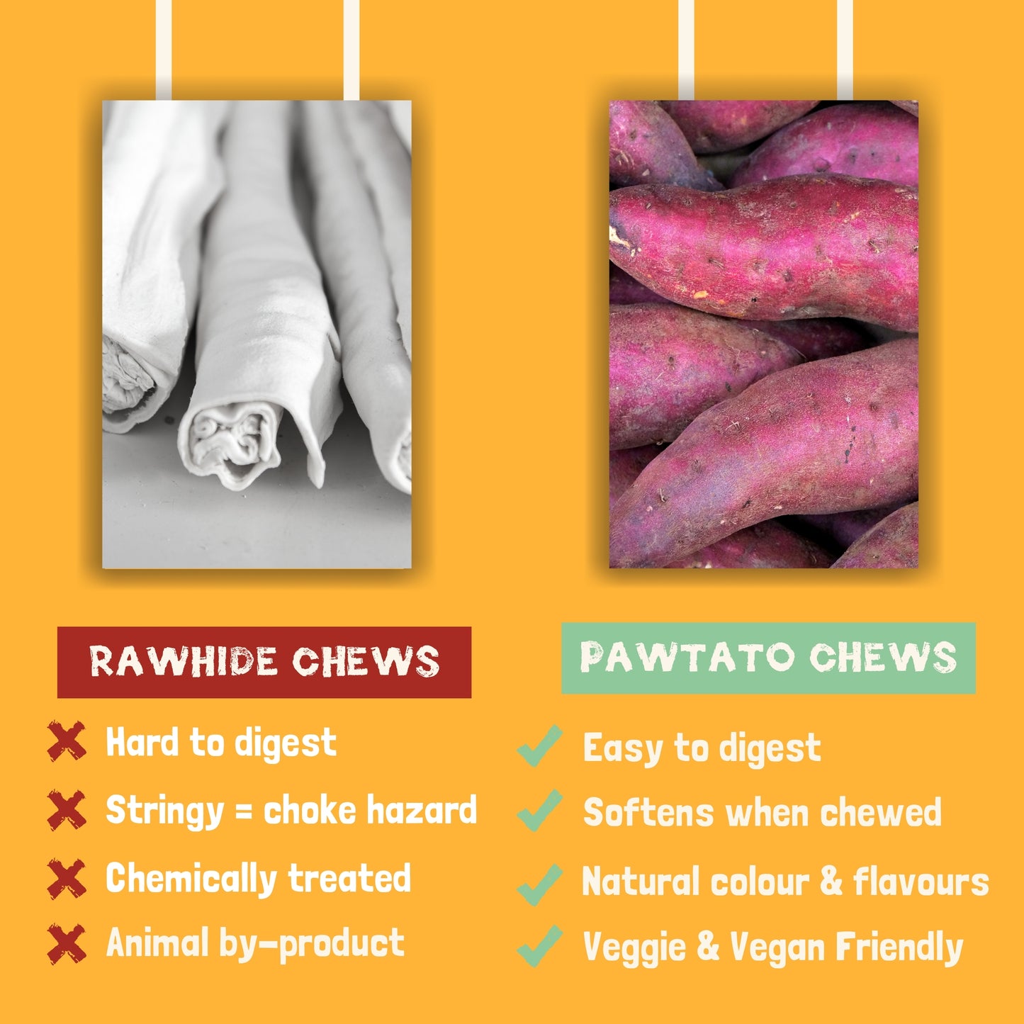 Benevo Pawtato Kausticks mit Heidelbeeren