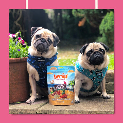Benevo Pawtato Ocean Treats 140g