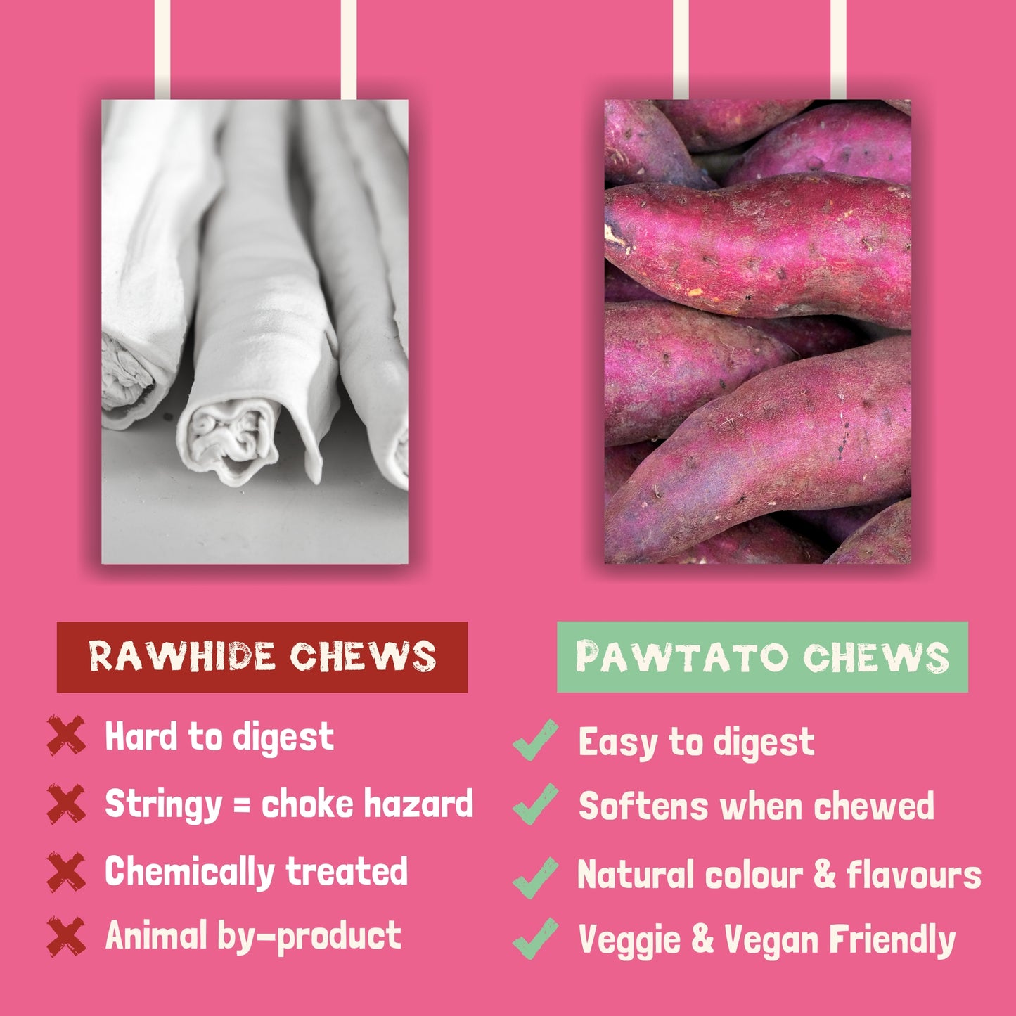 Benevo Pawtato Kaurollen mit Minze & Petersilie