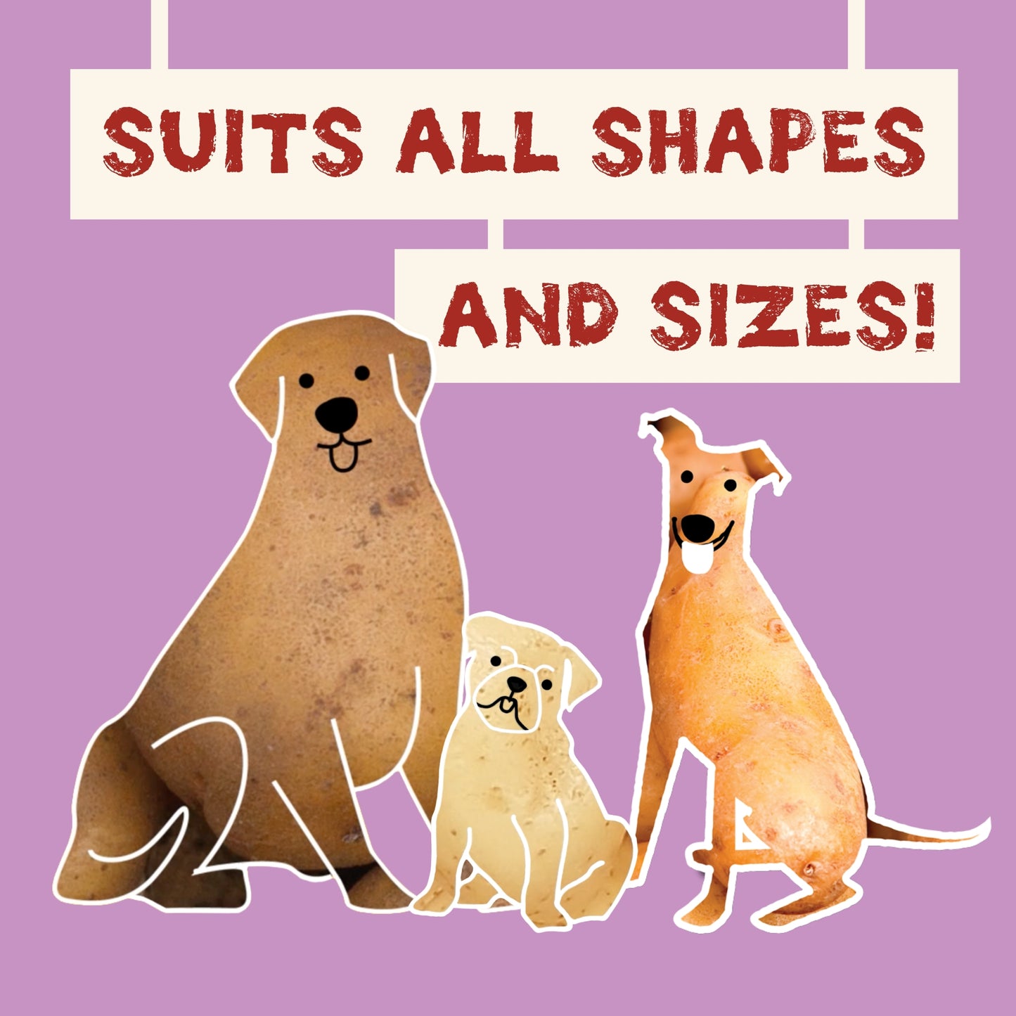 Benevo Pawtato Kausticks mit Kurkuma & Zichorie
