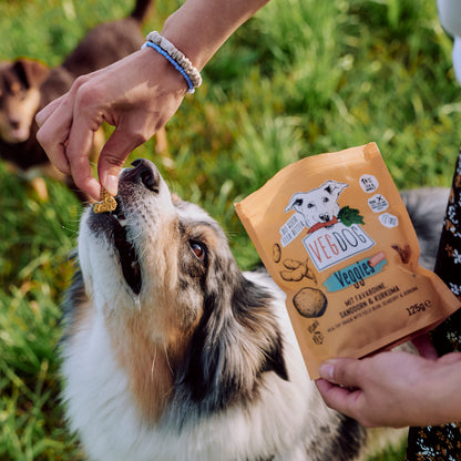VEGDOG Veggies Immune 125g