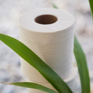 Bamboo Toilet Paper 3-ply