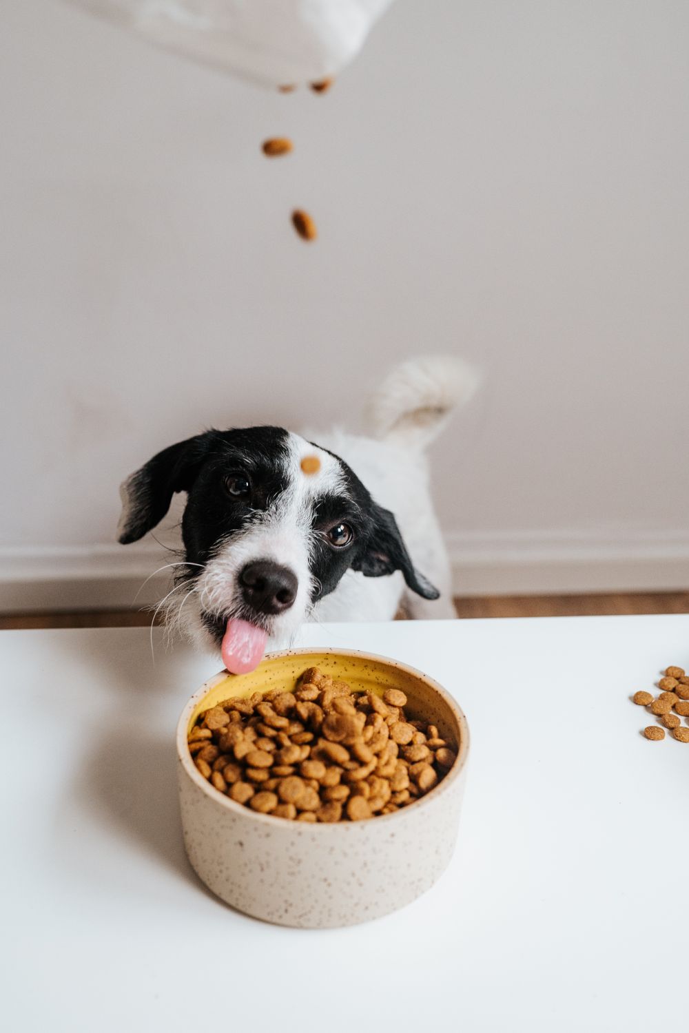 VEGDOG Simply Crunch  10kg