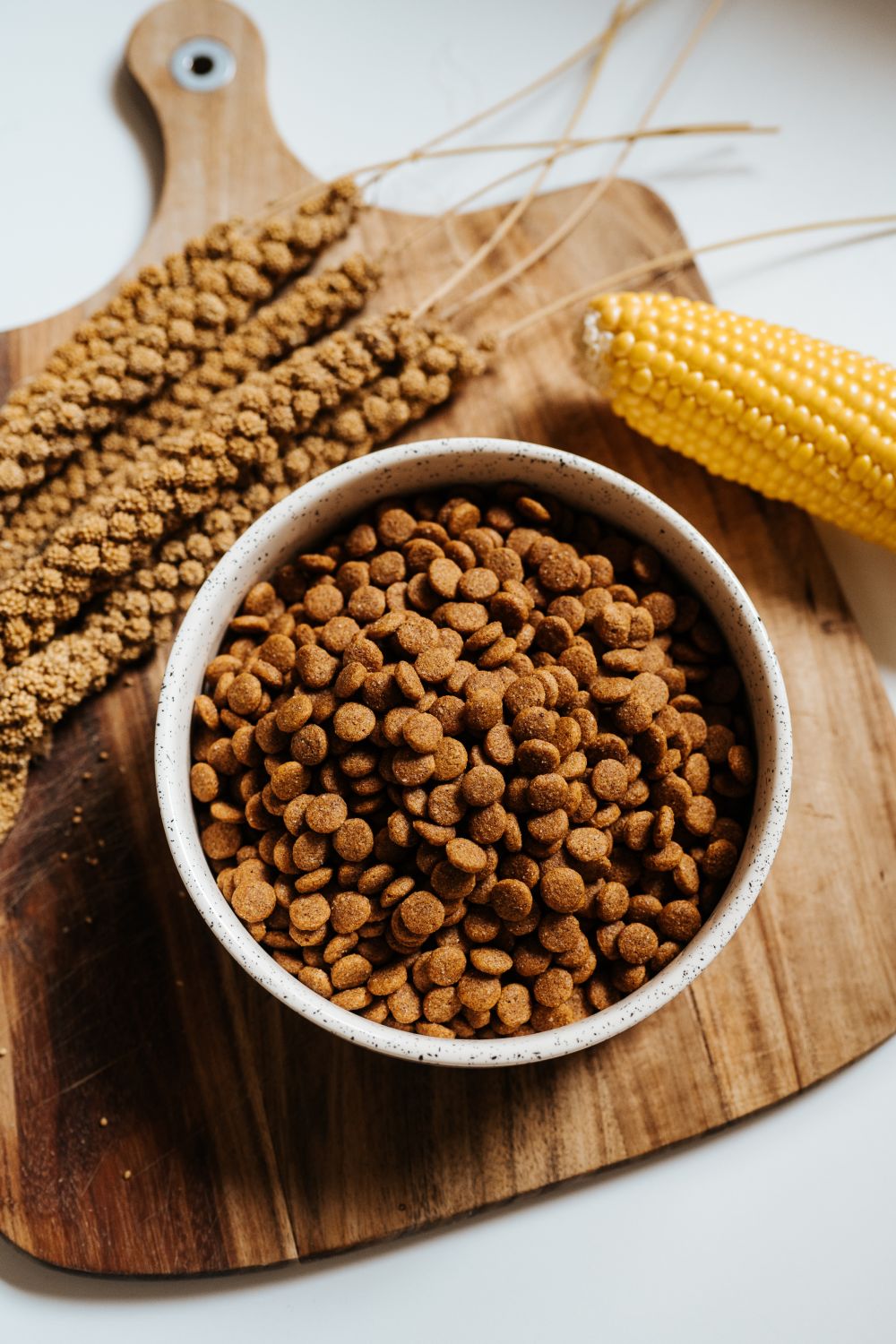 VEGDOG Simply Crunch  10kg