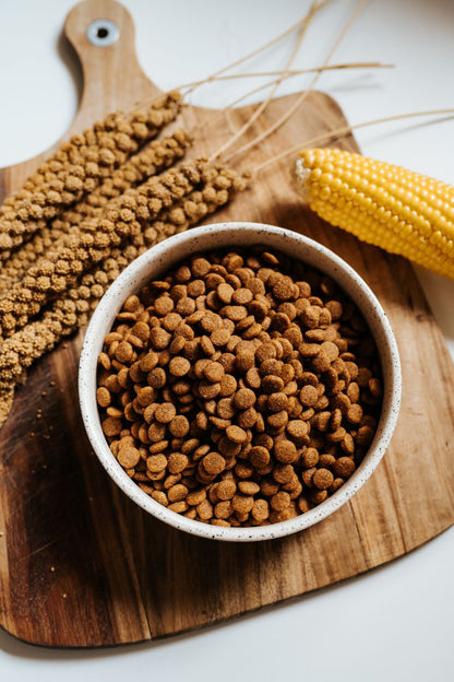 VEGDOG Simply Crunch  10kg