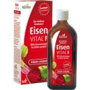 Hübner Eisen VITAL® F 500ml