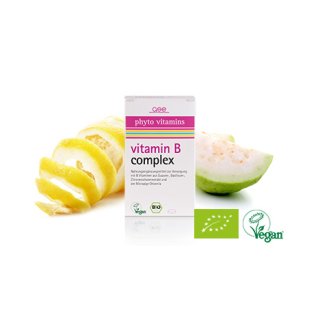 GSE Bio Vitamin B Complex Tabletten á 500mg 60Stück