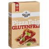 Bauckhof Bio Pizza Teig glutenfrei 350g