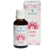 Evolution Seelenheil Essenz 4 Liebe 30ml