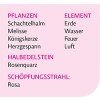 Evolution Seelenheil Essenz 4 Liebe 30ml