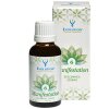 Evolution Seelenheil Essenz 6 Manifestation 30ml